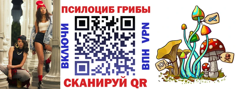 купить   Липки  Галлюциногенные грибы MAGIC MUSHROOMS 